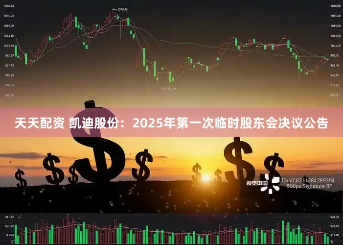 天天配资 凯迪股份：2025年第一次临时股东会决议公告