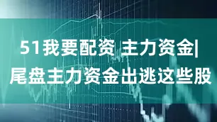 51我要配资 主力资金| 尾盘主力资金出逃这些股
