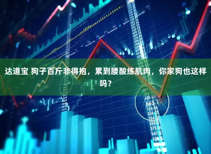 达道宝 狗子百斤非得抱，累到腰酸练肌肉，你家狗也这样吗？