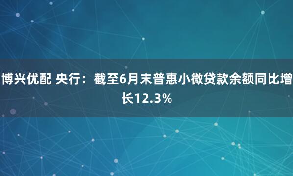博兴优配 央行：截至6月末普惠小微贷款余额同比增长12.3%