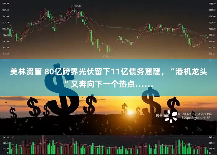 美林资管 80亿跨界光伏留下11亿债务窟窿，“港机龙头”又奔向下一个热点……
