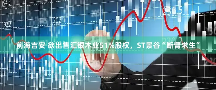 前海吉安 欲出售汇银木业51%股权，ST景谷“断臂求生”