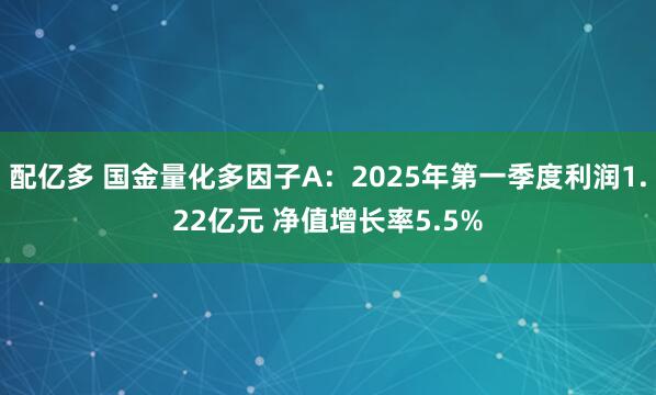 配亿多 国金量化多因子A：2025年第一季度利润1.22亿元 净值增长率5.5%
